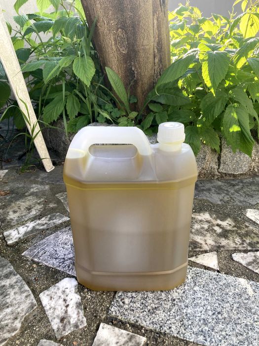 Azeite Biológico de Trás-os-Montes – Garrafão 5L | Produção Própria | Entrega na zona do Porto