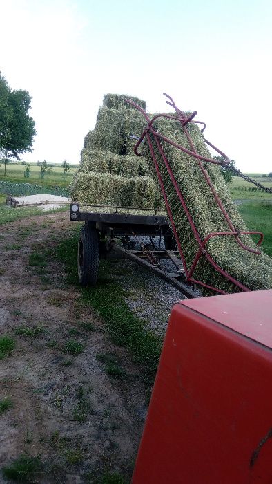 Siano w kostkach bez nawozów