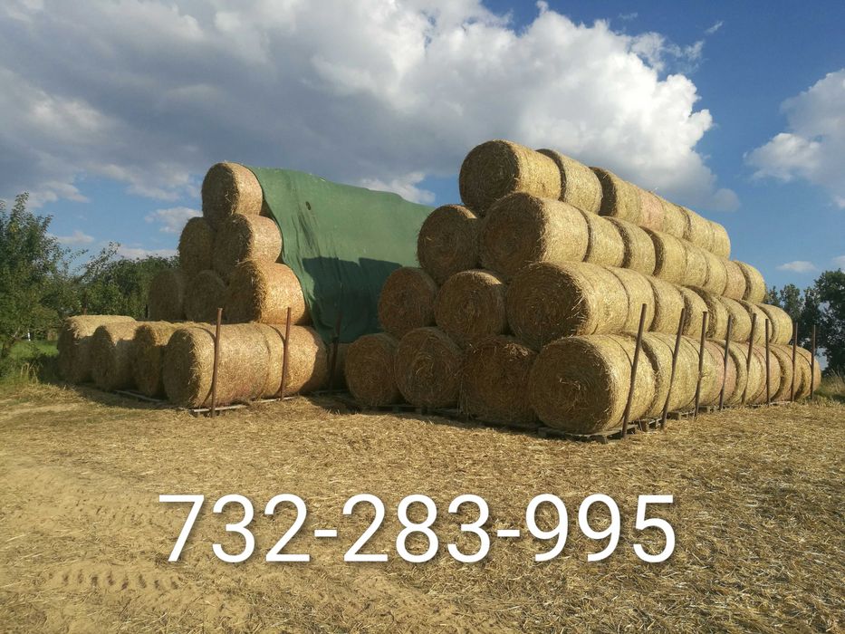 Sprzedam słome w belach