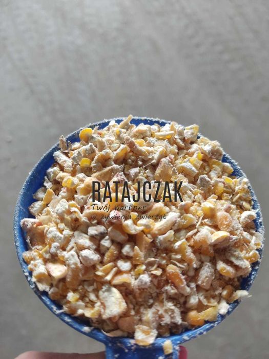 KUKURYDZA ćwiartki walcowana gnieciona 20kg wysyłka