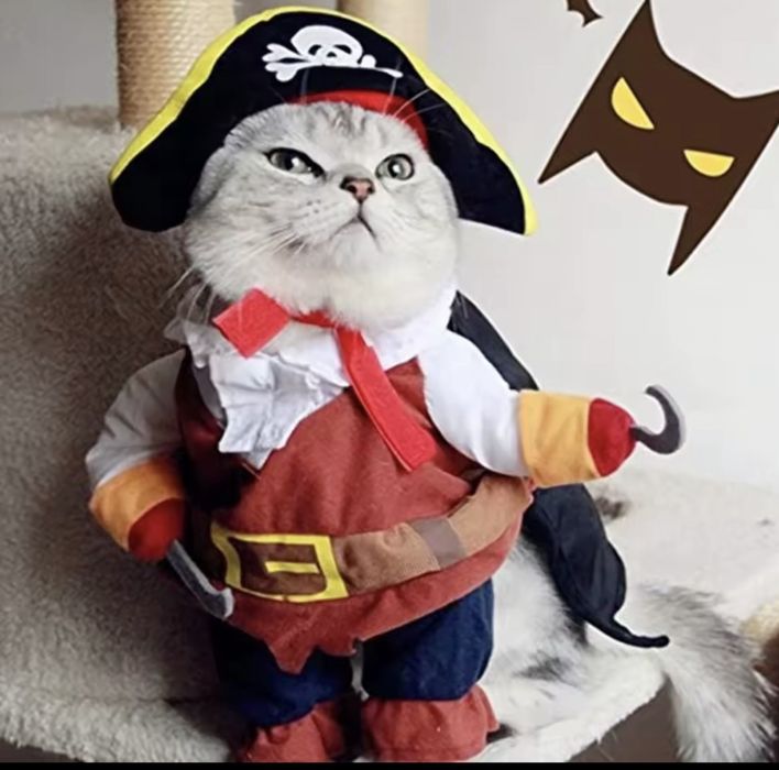 Костюм для котика/собаки пірат
