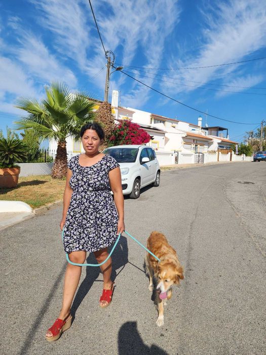 Pet Sitting em Ferragudo | Cães e Gatos