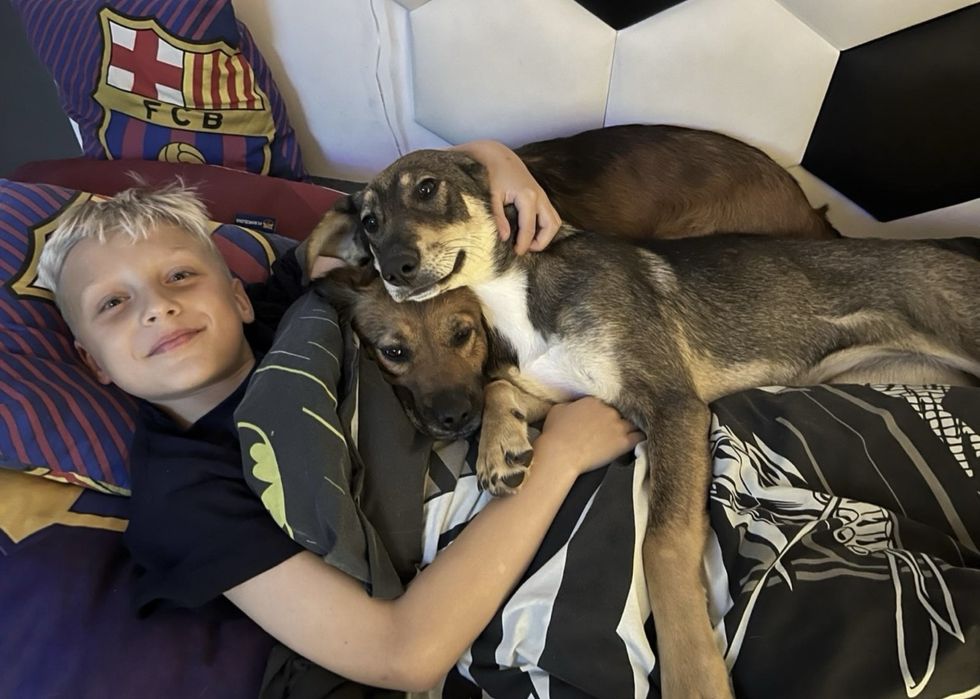 Petsitter opieka nad psem Chodzież
