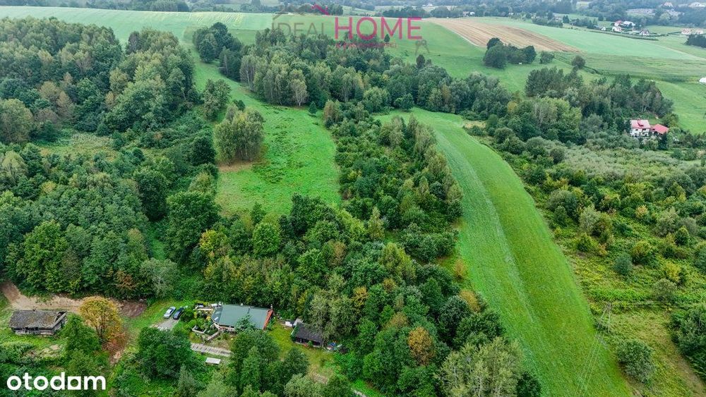 Nowy Borek 1,3675 ha- w trakcie Wz zagrodowa