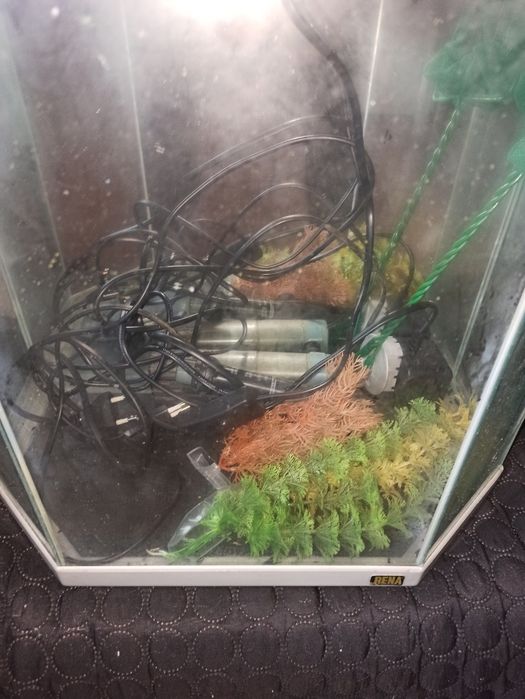 Aquário com acessórios