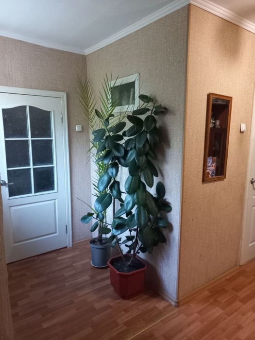 Продам дом с Бритовка