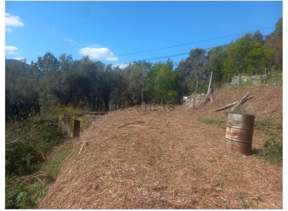 Terreno com Ruína Ponte de Lima