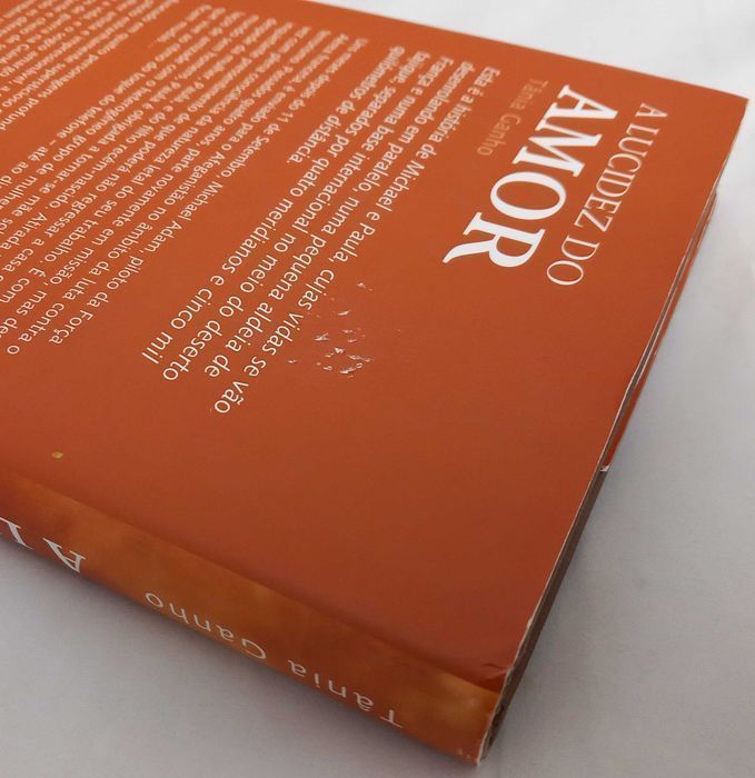 Livro A Lucidez do Amor de Tânia Ganho [Portes Grátis]
