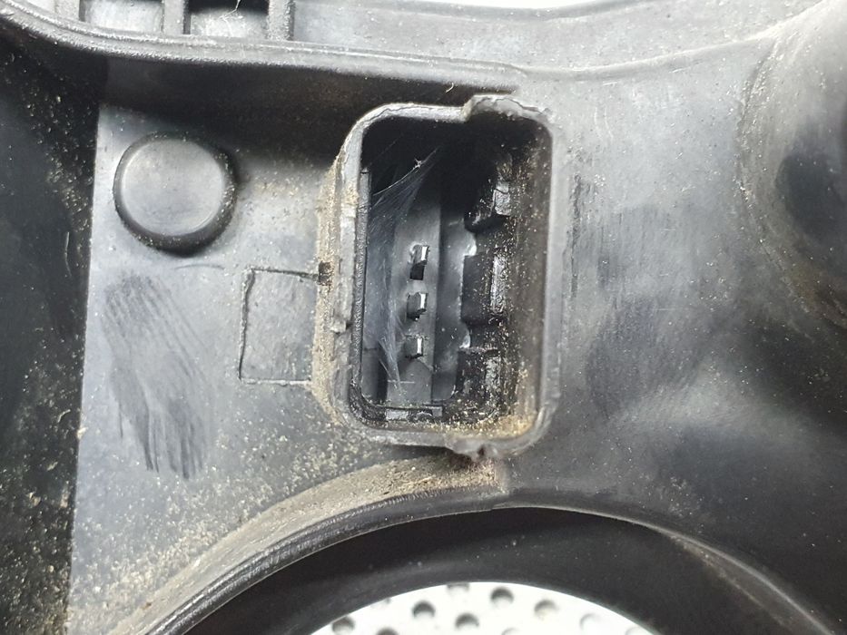 Suporte lâmpada esquerdo RENAULT Megane II (BM0/1_, CM0/1_)