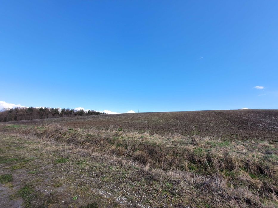 Земельна ділянка 376 сот в Колодіївці