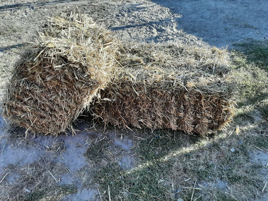 Słoma pszenna  mała kostka