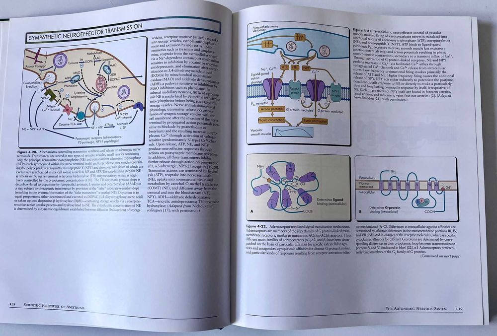 Atlas of anesthesia Volume II