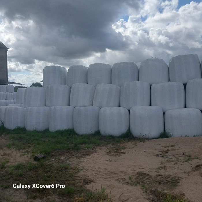 Baloty siano kiszonki