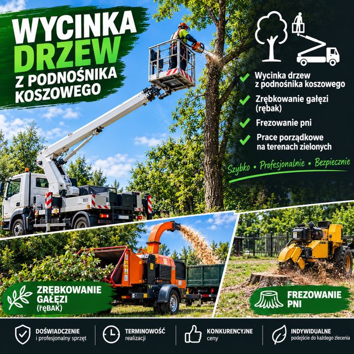 Wycinka drzew z  podnośnika koszowego zrębkowanie wywóz odpadow zielonych
