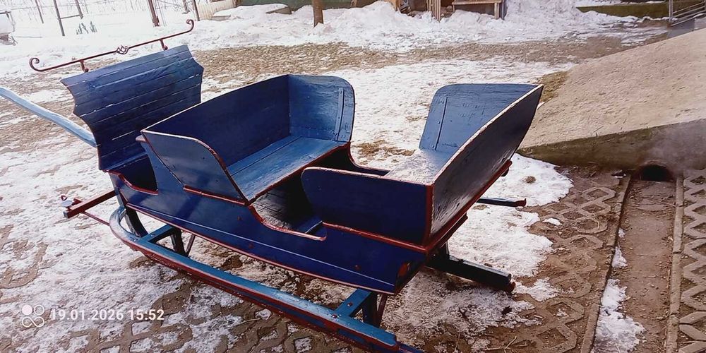 kon klacz sanie konne