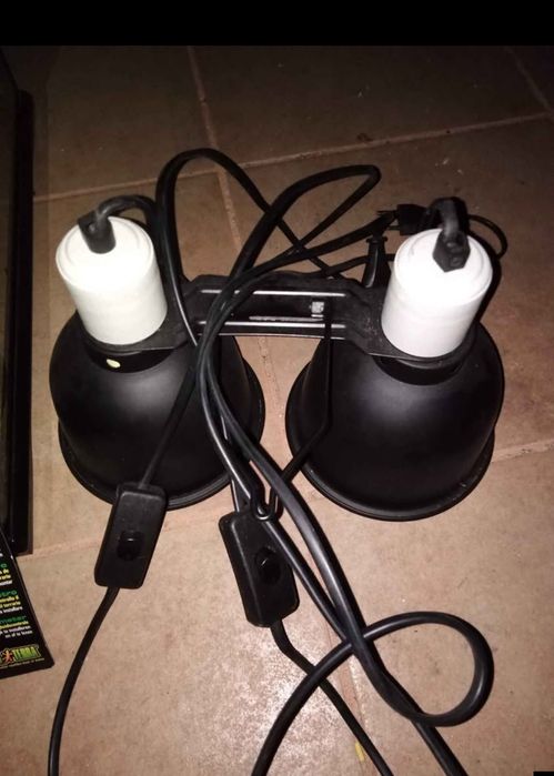 Terrareo Exoterra + Acessórios