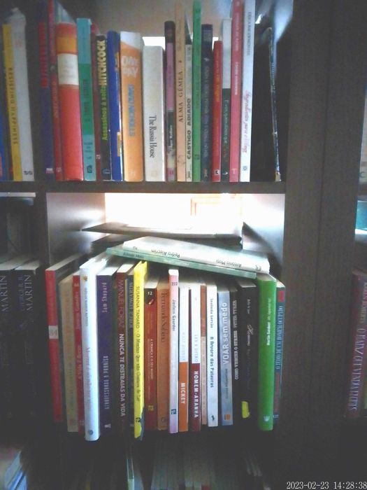 LIVROS Diversos VENDIDOS EM SEPARADO - Vários Preços Q17-22