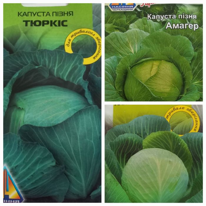 Фасоване насіння капусти