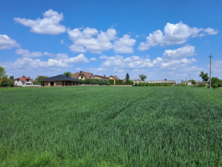 Ділянка 22 сотки Біла Криниця