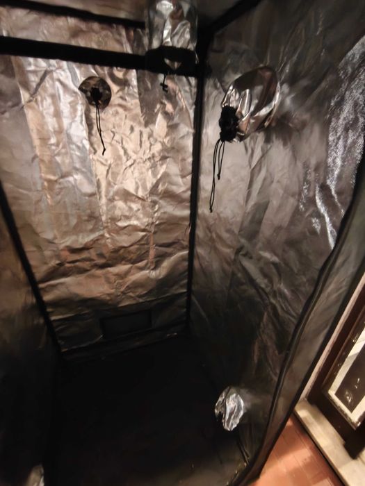 Tenda de cultivo