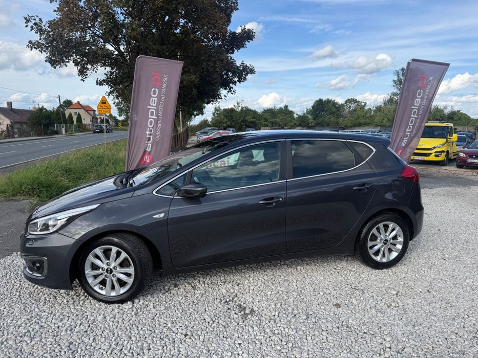 KIA CEED Z 2016 1.4 mpi Klima Kamera Navi Sprowadzony/Opłacony
