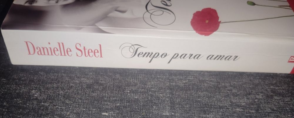 Livro de Romance da Escritora Danielle Steel  Tempo para Amar Usado