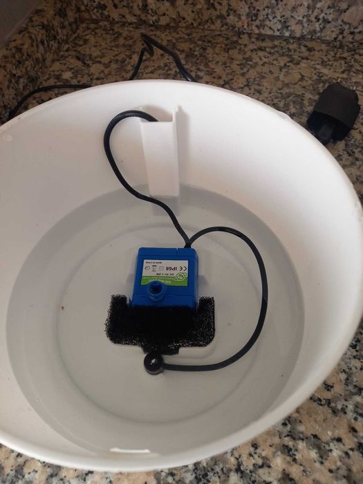 dispensador automatico de agua para gato  novo