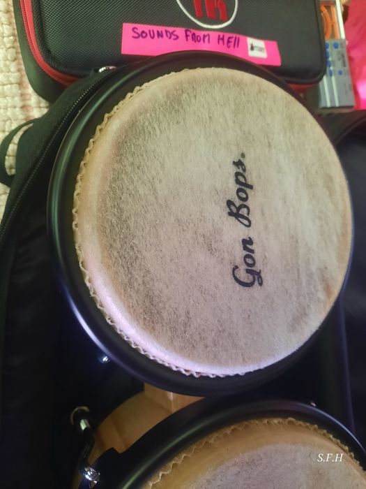 Vendo Bongós GonBops Fiesta