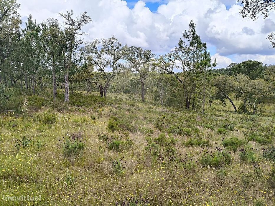 Terreno  para venda