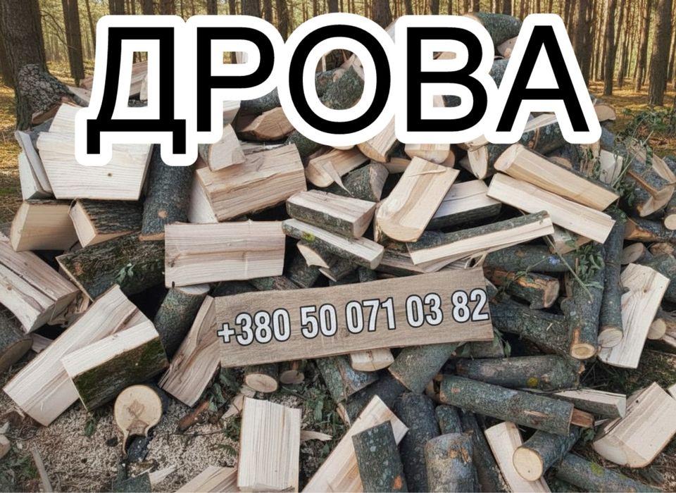 Дрова колоті твердих порід