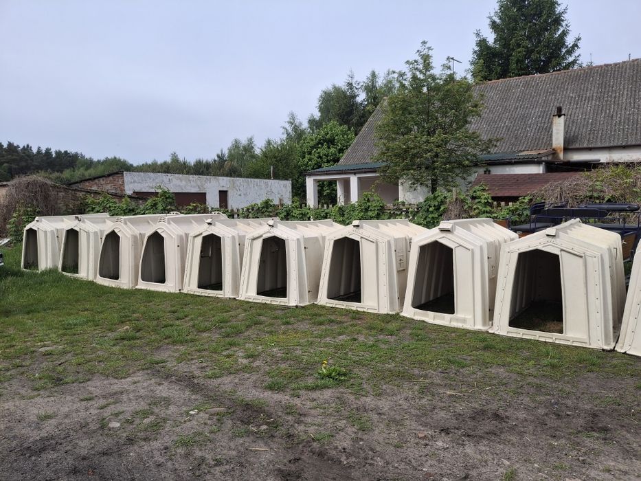 Budki domki Iglo dla cieląt cielaków!!! Calf-tel xxl