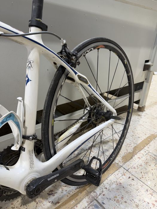 Specialized Ruby Elite Carbono | Tamanho 51 | Shimano | Rodas Mavic