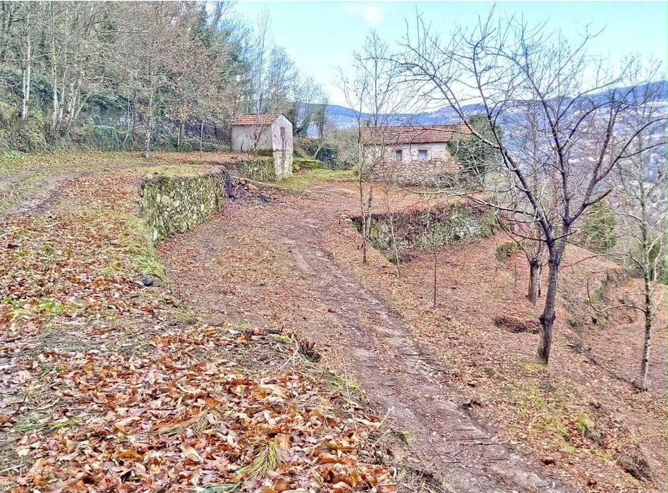 Quinta no Douro para Turismo Rural