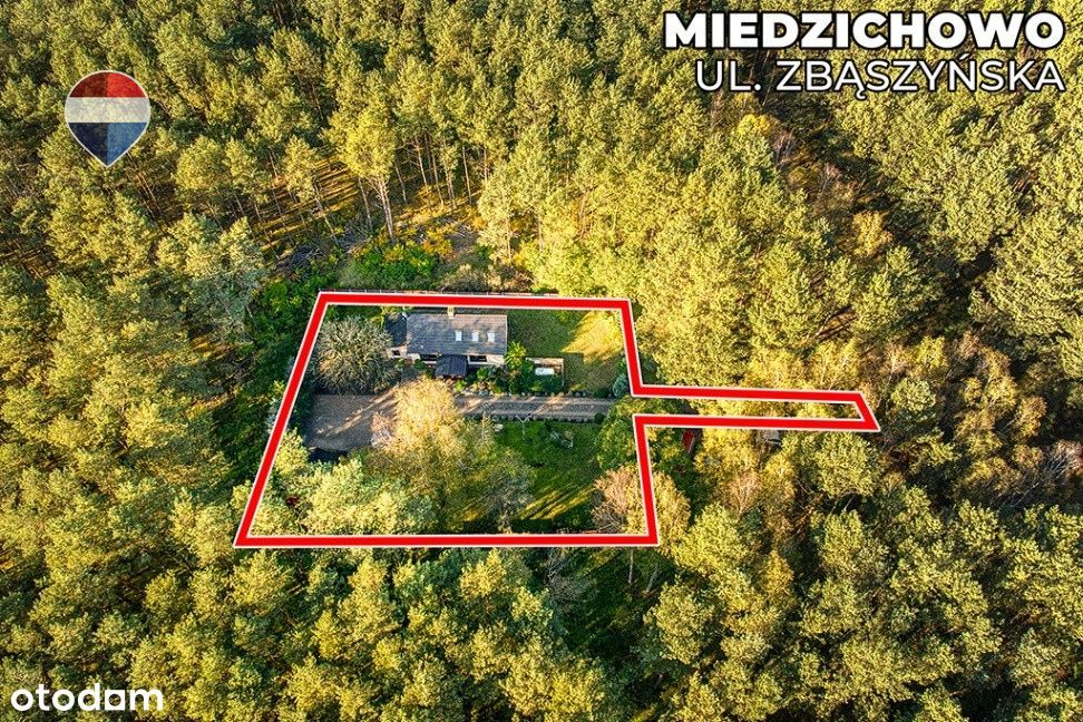 Leśny dom pośród jezior w Miedzichowie