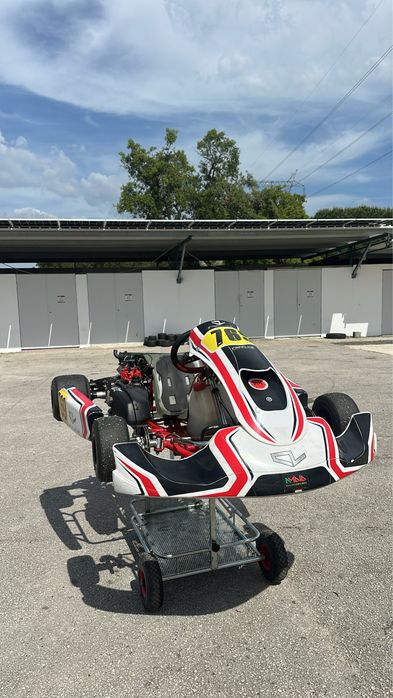 Kart BirelArt DD2