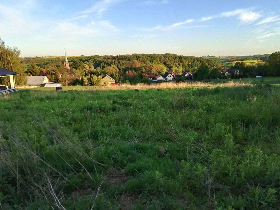 DZIAŁKA ROLNO-DUDOWLANA  0,18h w Kalinie Wielkiej  ok.Miechowa