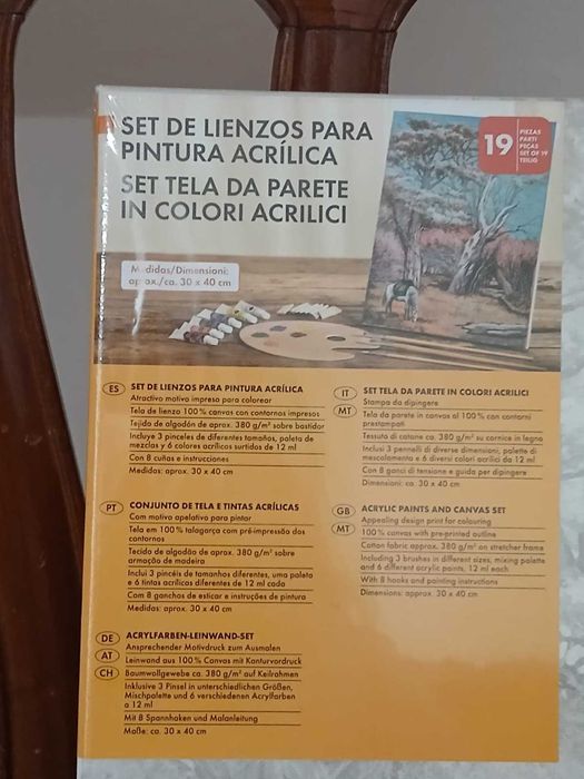 Conjunto de Tela e Tintas Acrílicas