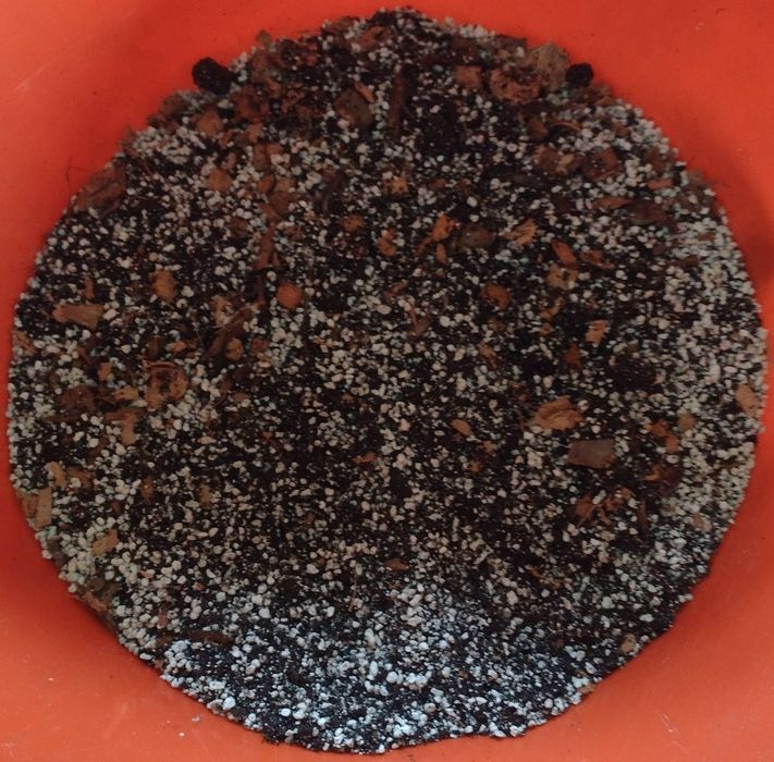 Przepuszczalna ziemia"bigos"