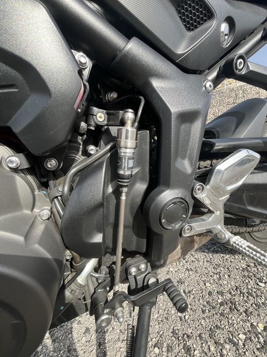 Triumph Trident 2024