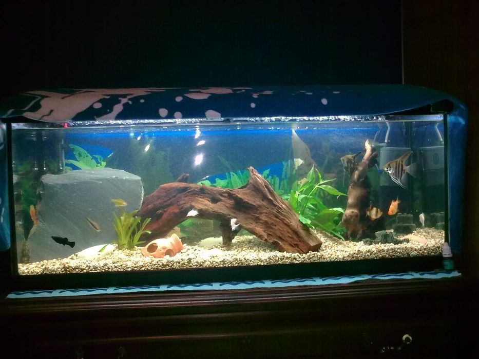 Aquário Aquatlantis 100lt e Filtragem Biobox 2 (Completo)