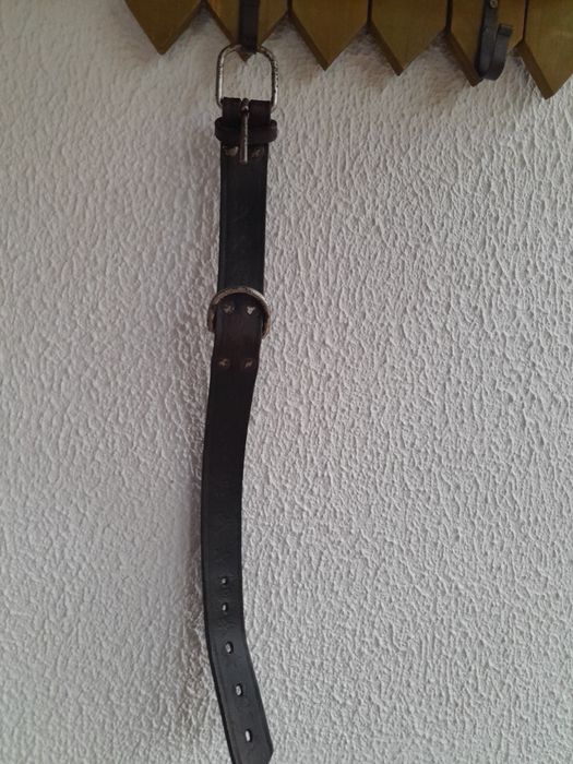 Coleira de cao em pele vintage.