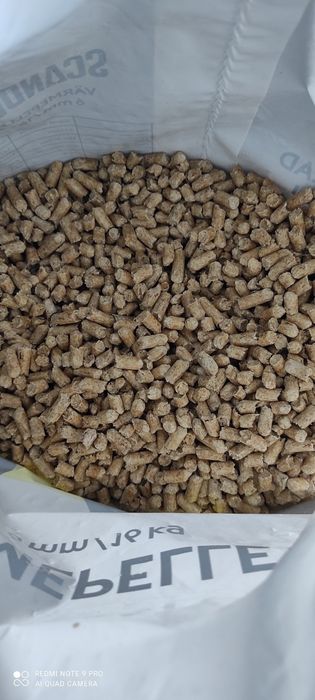 Pellet Scandbio 6mm