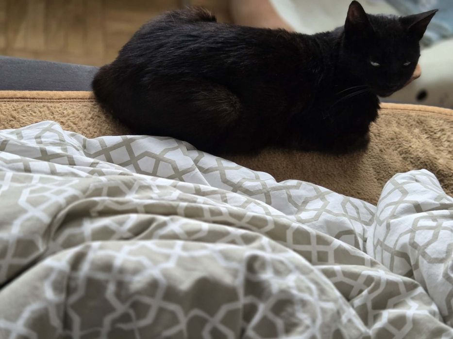 PILNIE! Lola i Kaja szukają wspólnego domku