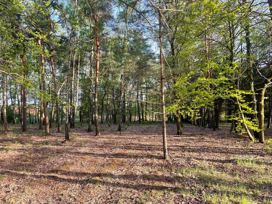 Atrakcyjna działka 1273 m2 Skierniewice