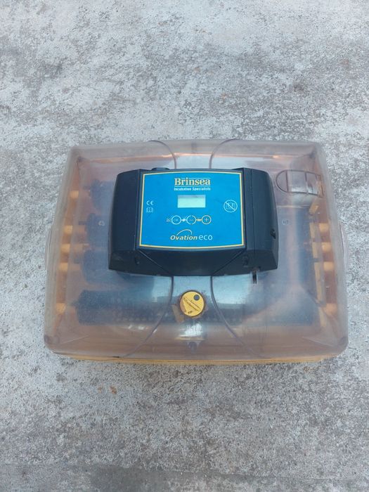 Chocadeira Eletrica Briensea Ovation Eco
