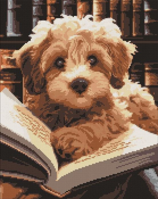 Алмазна мозайка 5D ideyka