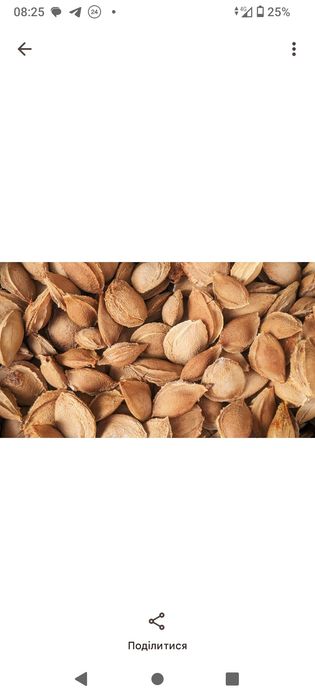 Натуральный онкопротектор  вітамін  В17 абрикосові