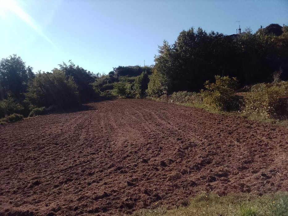 Terreno agricula