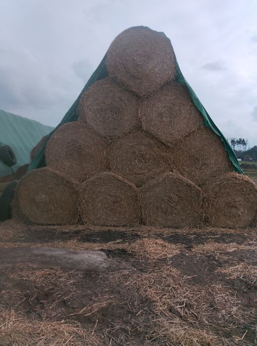 Sprzedam Słome średnica 150cm