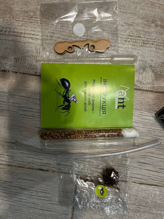 Вертикальна мурашина ферма Flora Plus (Wenge) — Повний комплект!